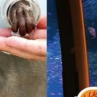 八景島の秋イベント