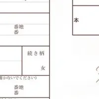 PLACOLE&DRESSY婚姻届