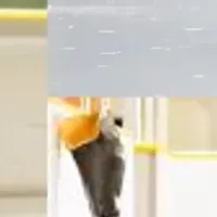 森崎天夢選手の挑戦