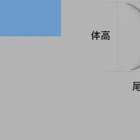 AI魚体測定の進化