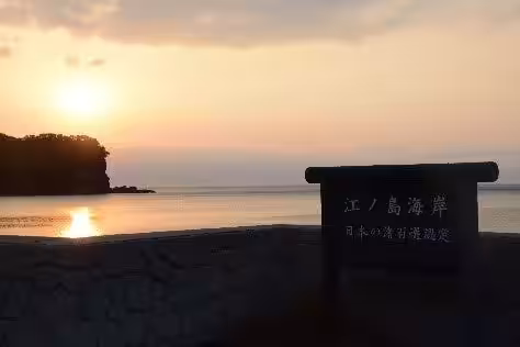 画像13