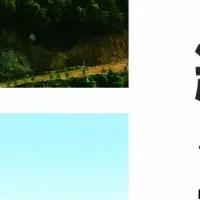 統合報告書2025の発行