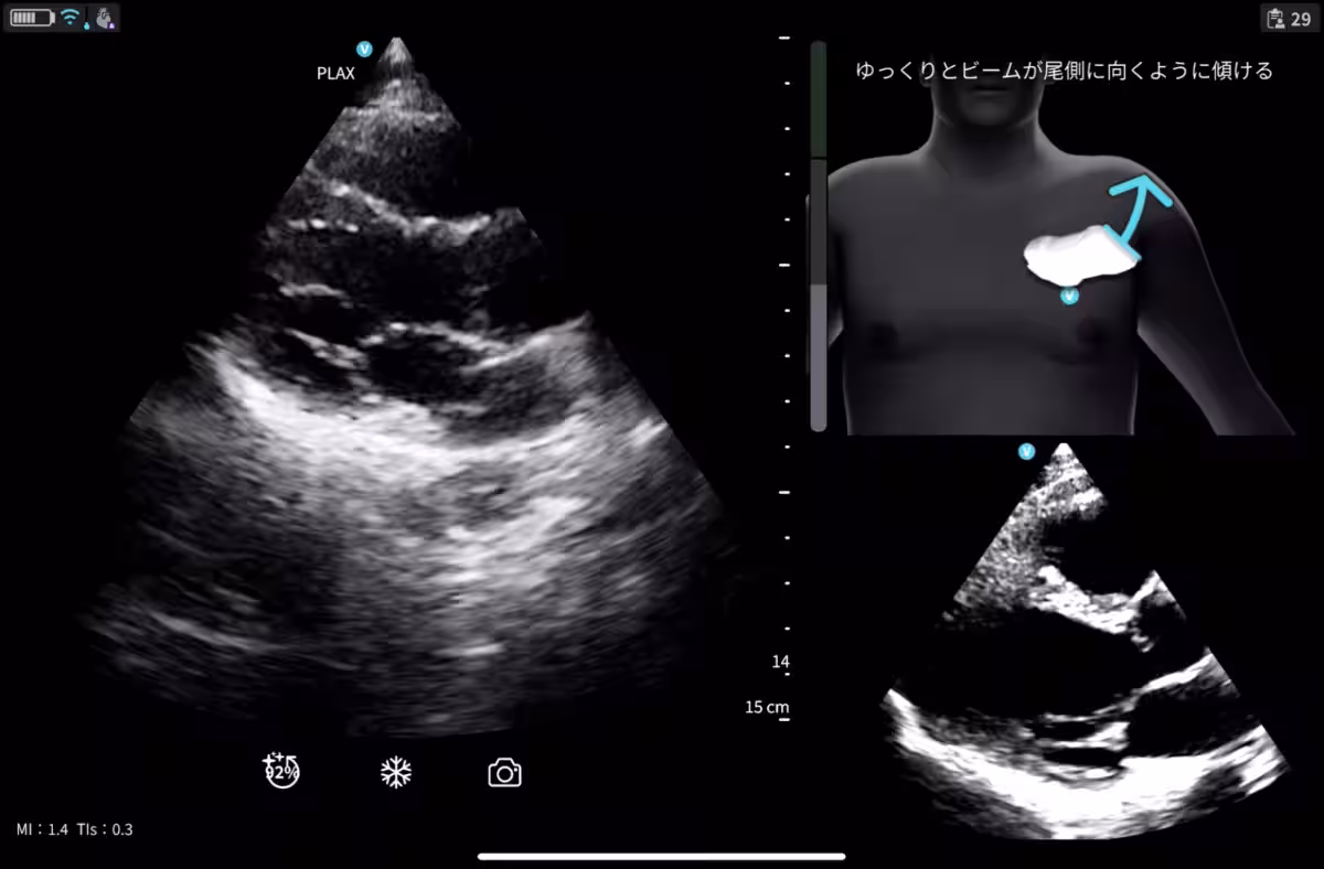 画像1
