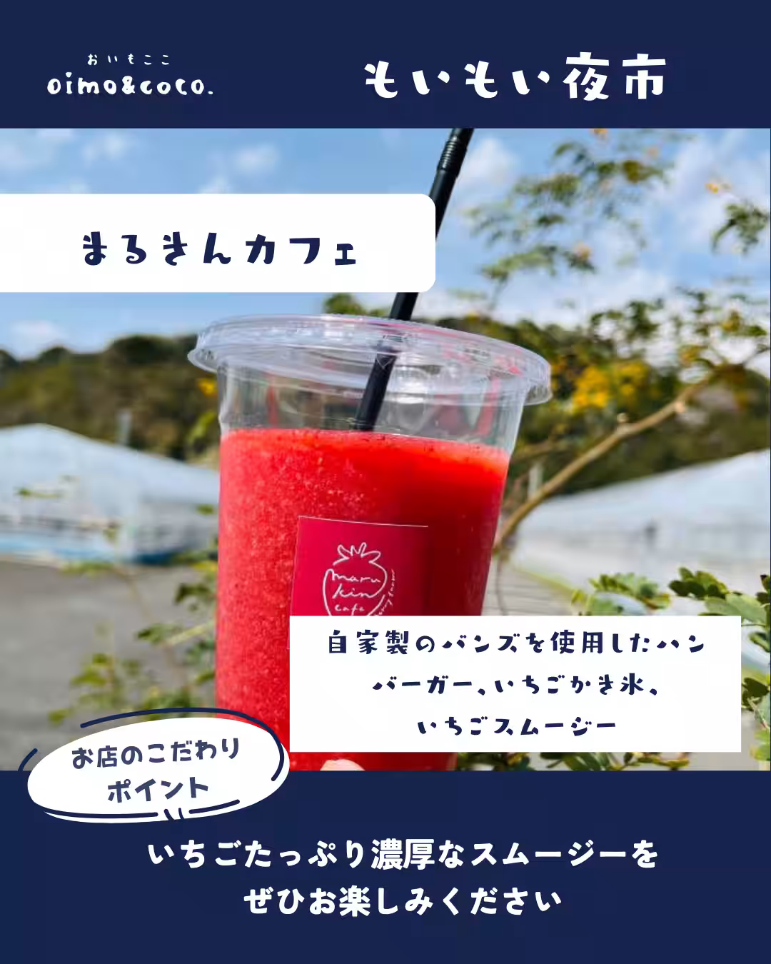 画像19