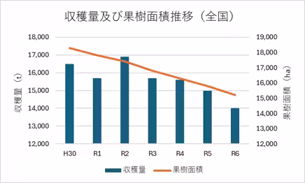 画像16