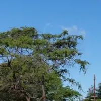 ハパルア2026開催！