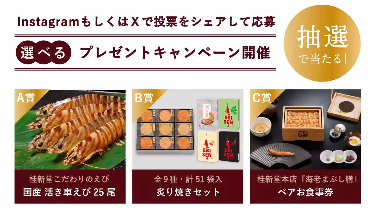 画像12