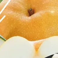信州南水梨特集