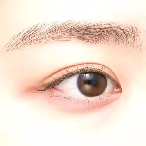 画像14