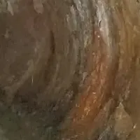 ドローンで変わる点検