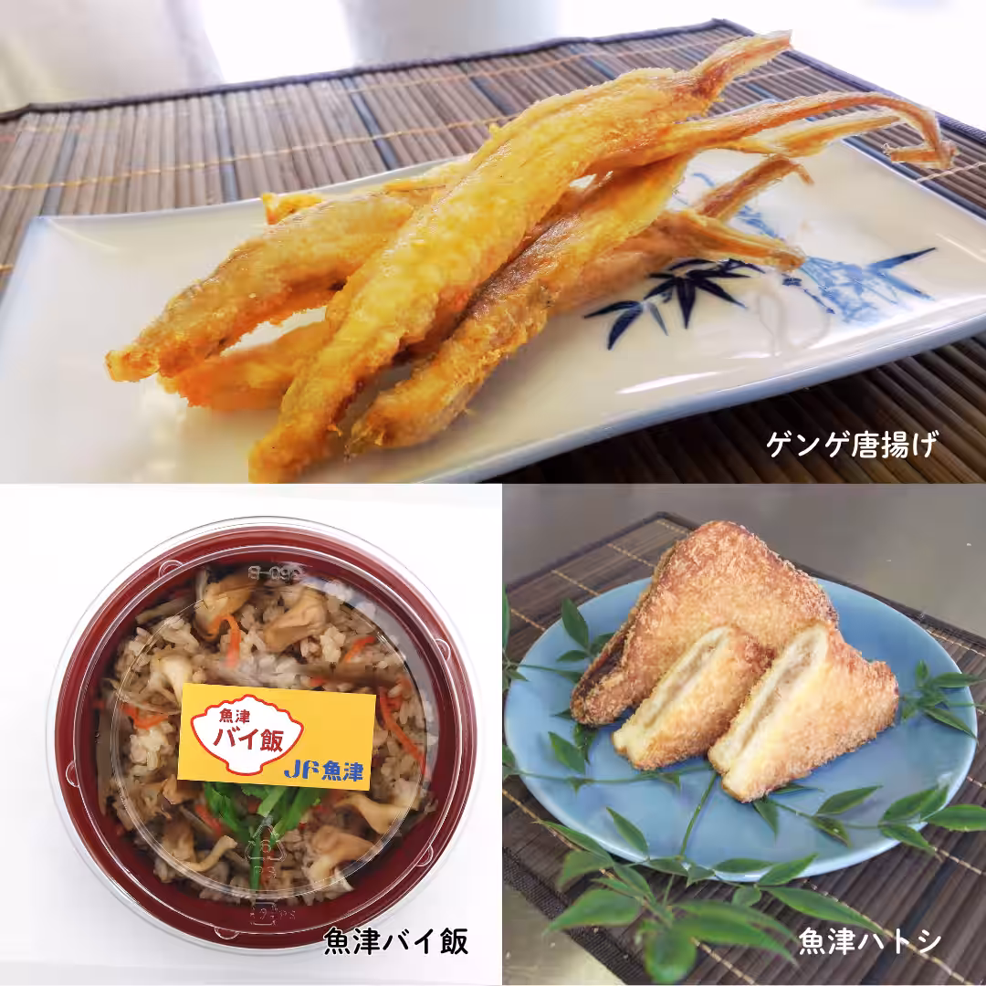 画像5