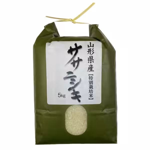 画像29
