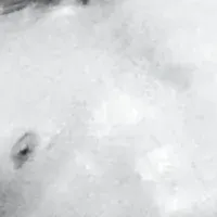 アントニオ猪木特集