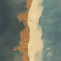 親の価値観を超えて