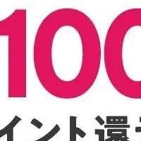 au PAYふるさと納税