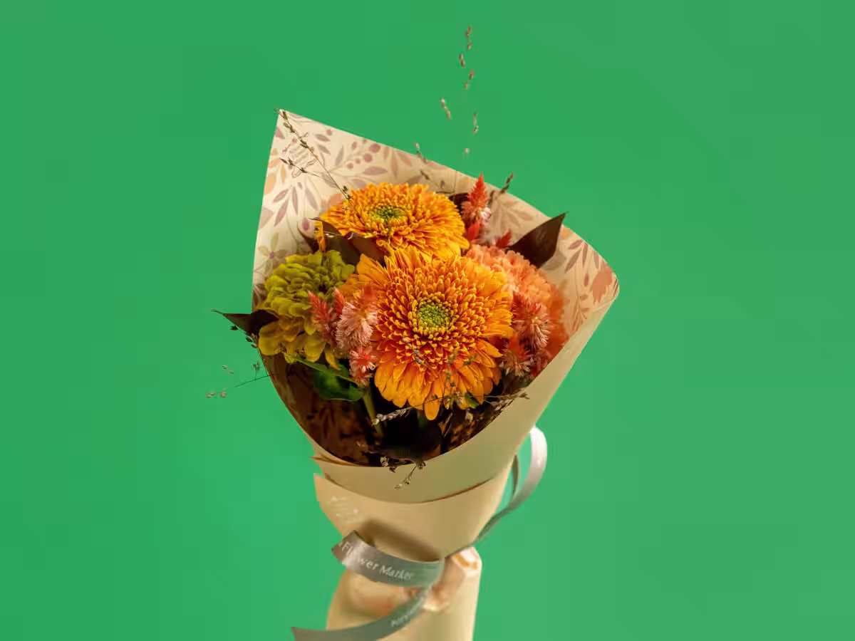 画像19