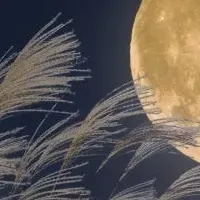 中秋の名月と金運