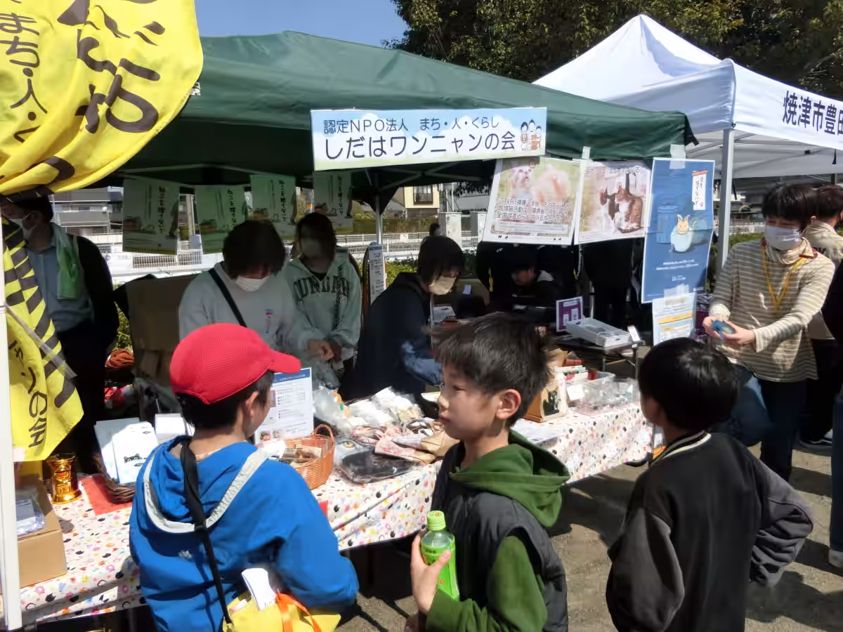画像7