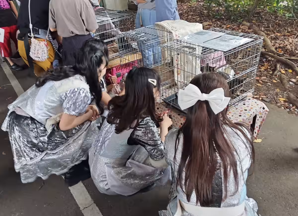 画像9
