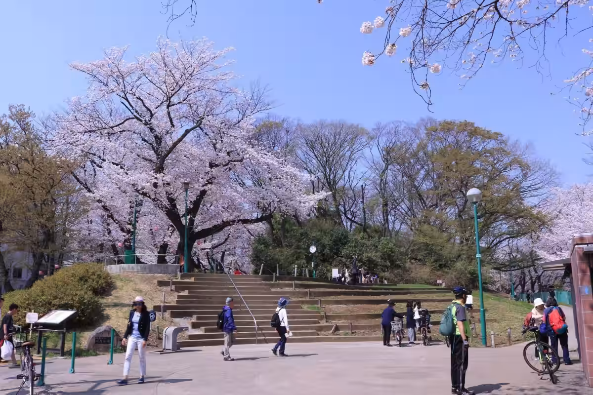 画像5