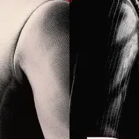 新たな龍の歴史