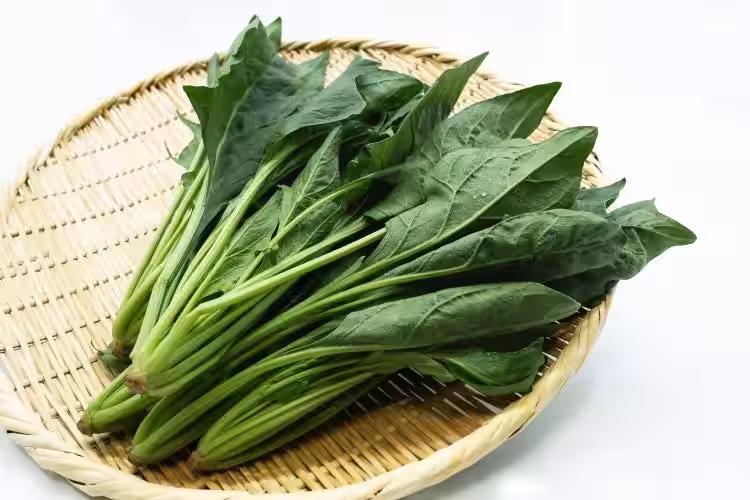 画像12