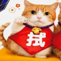 茶太郎＆きなこ登場