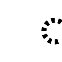 アイディオット、WG参加