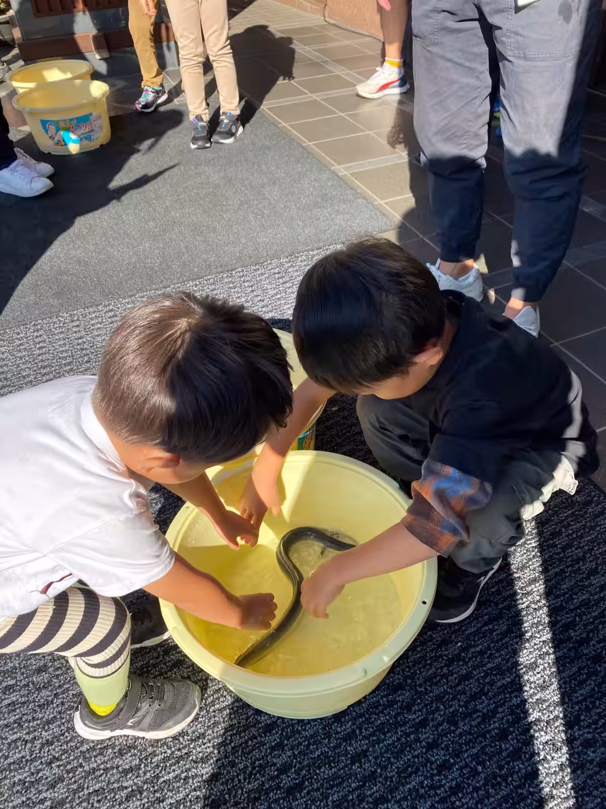 画像11