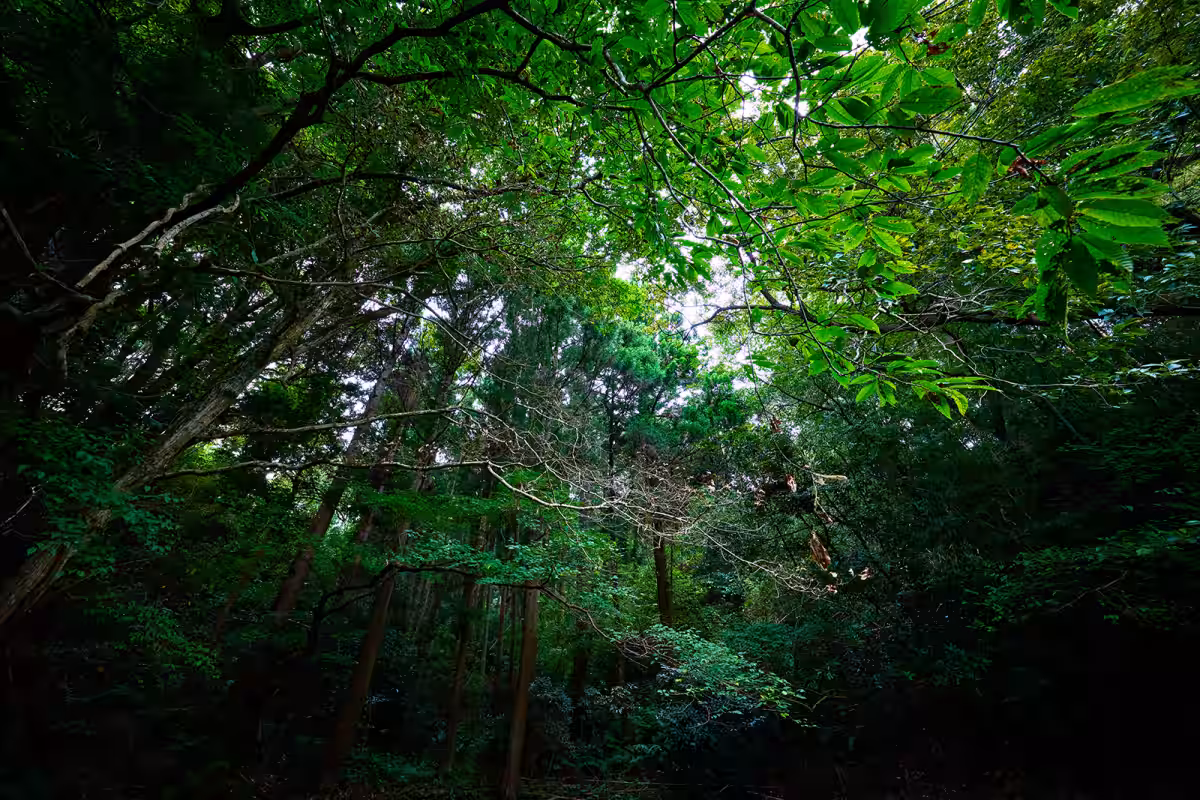 画像9