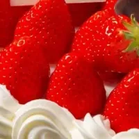 特製クリスマスケーキ
