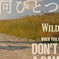 ワイルドターキー新展開