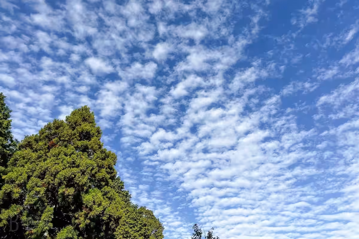 画像12