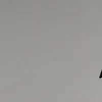 D.A.Dと倖田來未の新作