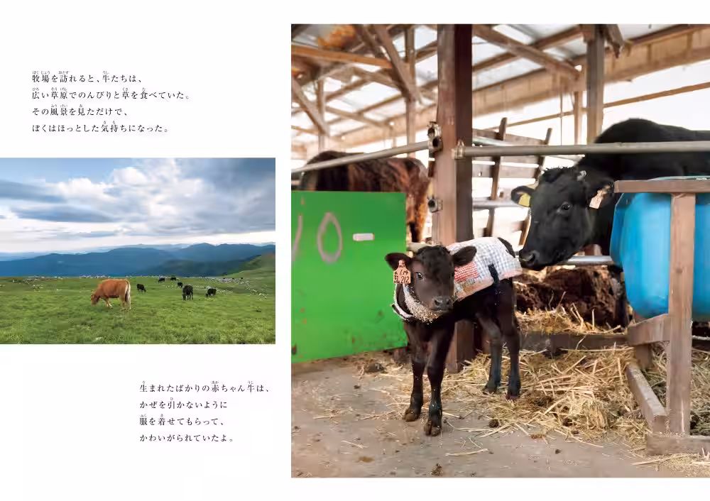 画像7
