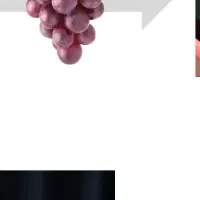 テックファームの新サービス