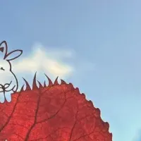 ごちゃまぜ社会の実践