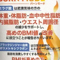 BURN MODEで健康管理