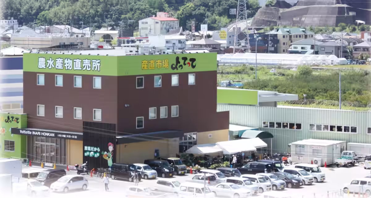 画像4