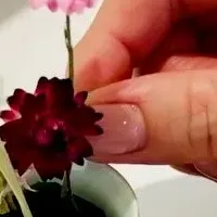 アートといけばな体験