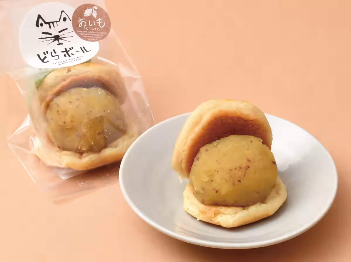 画像12