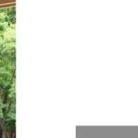 新型LEDシーリング