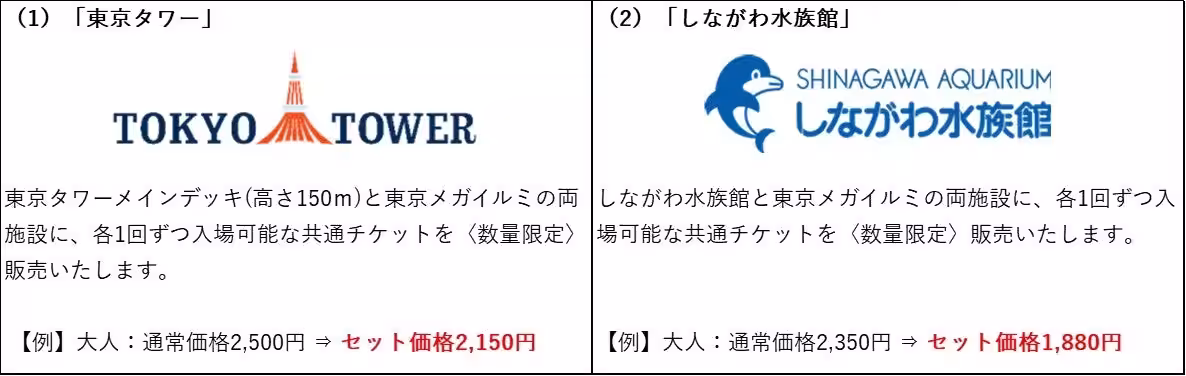 画像15