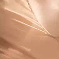 NANISの日本上陸