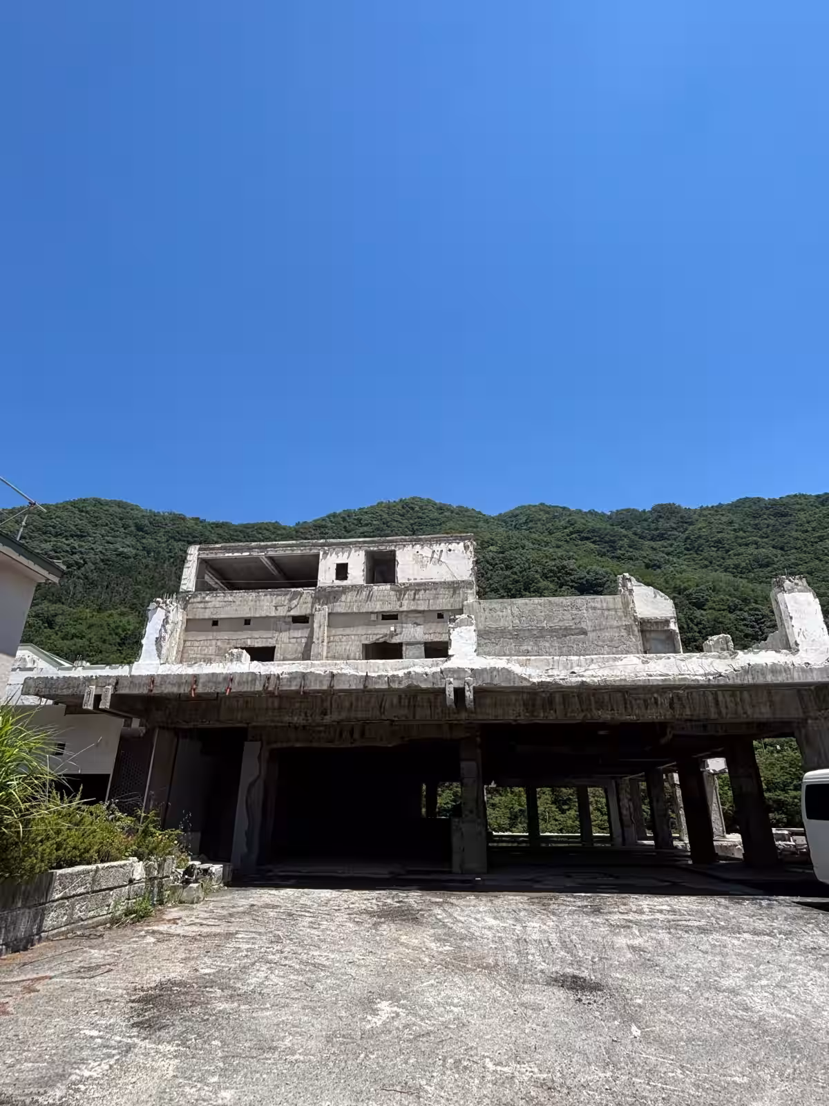 画像8