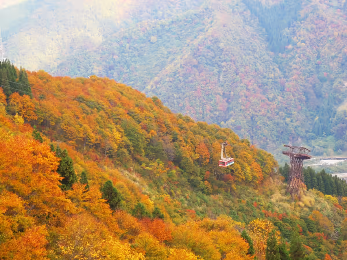 画像9