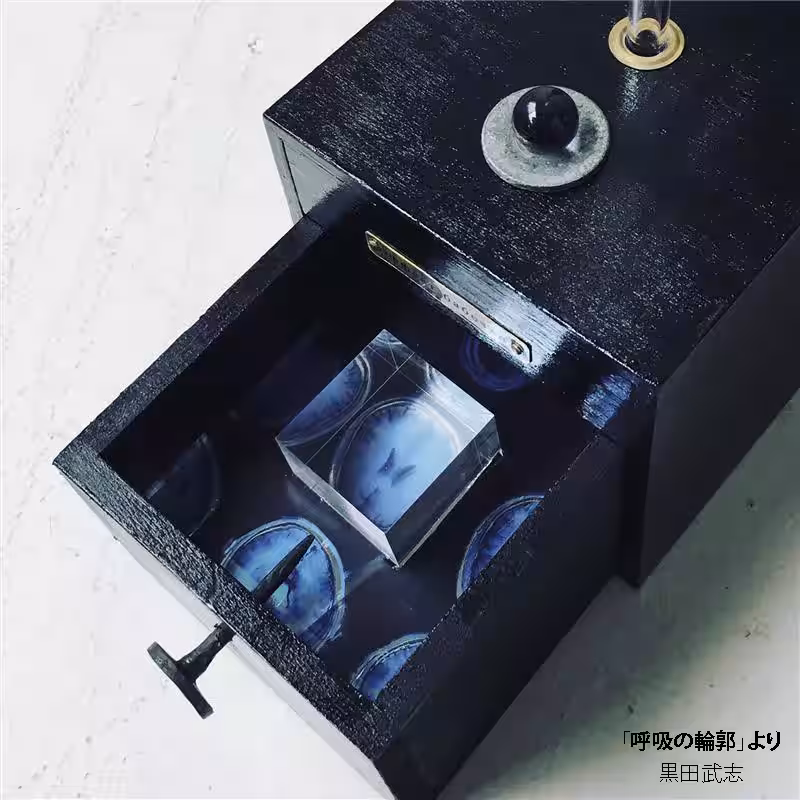 画像7