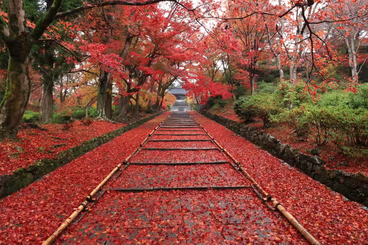 画像8