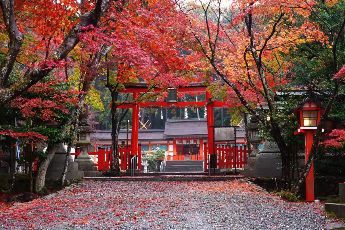 画像7