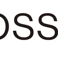 BLOSSOM、日本進出！